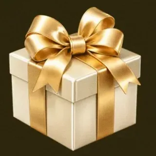 Luxury gift box — Slotsgem