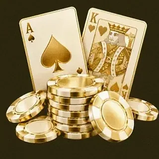 Poker playing cards — Slotsgem